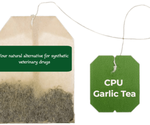 CPU Garlic Tea
